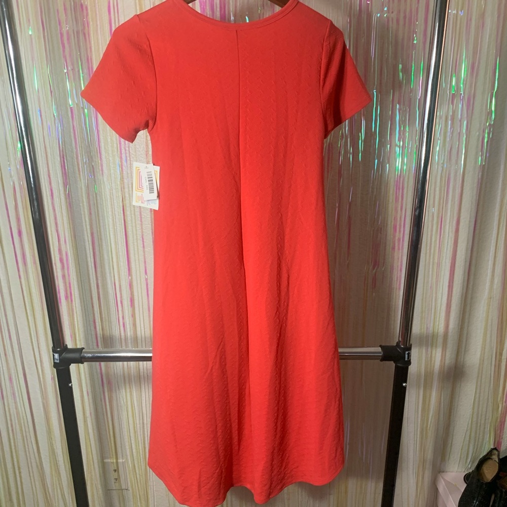 NWT LulaRoe “Carly” Dress - Picture 5 of 5